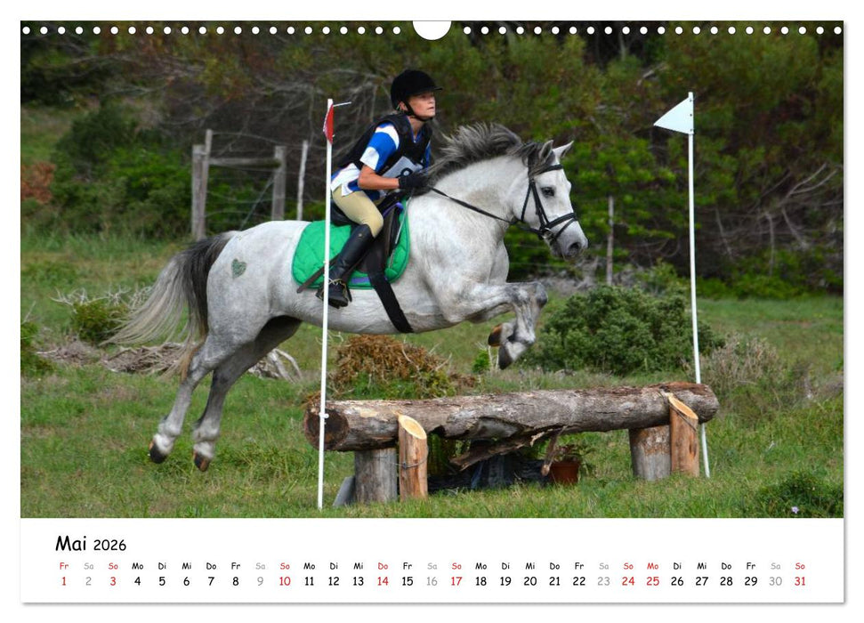 Pony Springreiten (CALVENDO Wandkalender 2026)