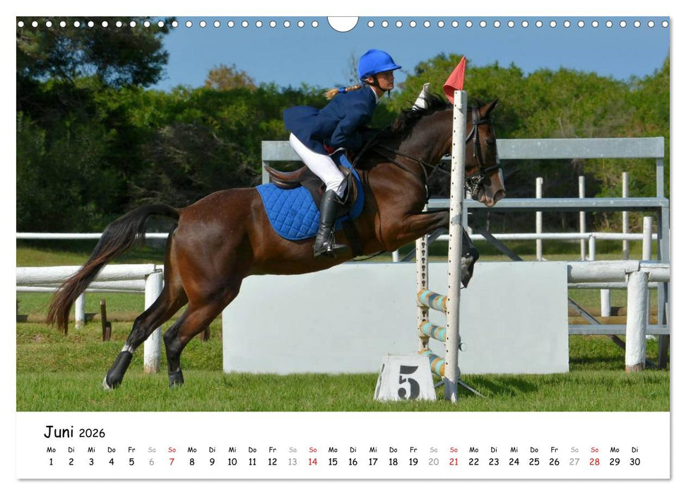 Pony Springreiten (CALVENDO Wandkalender 2026)