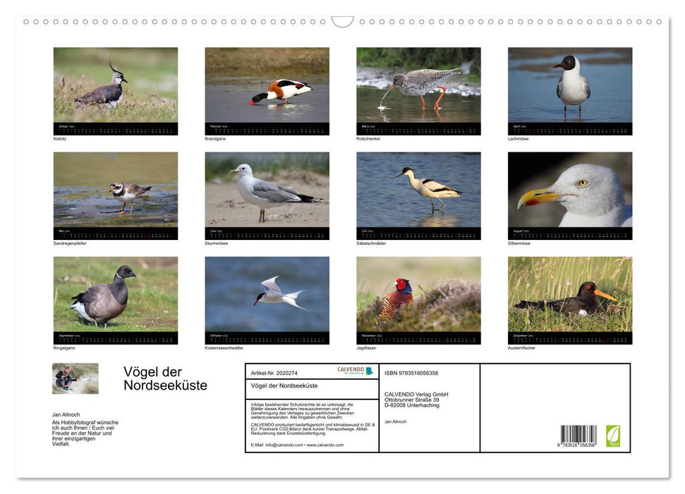 Vögel der Nordseeküste (CALVENDO Wandkalender 2026)