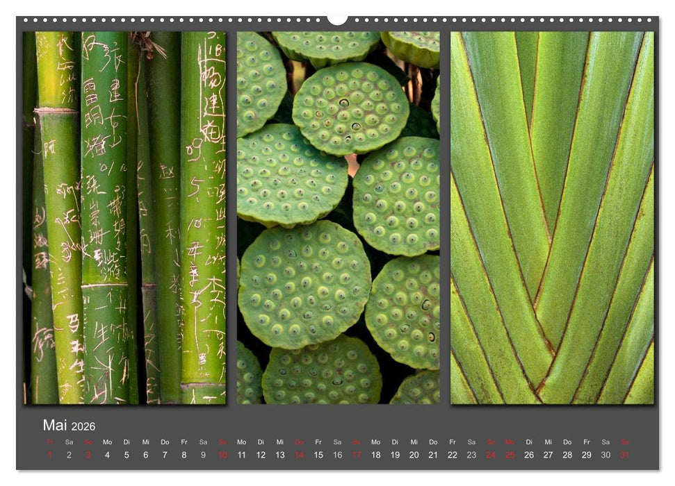 MEDITATION Zeit für mich (CALVENDO Wandkalender 2026)