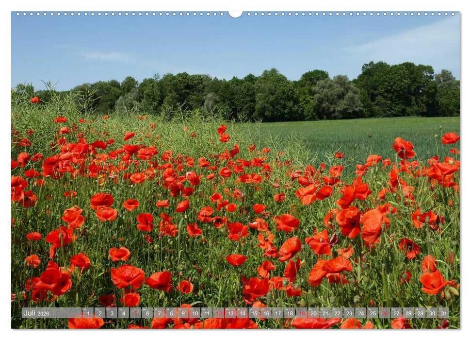 Bezauberndes Ampertal bei Moosburg (CALVENDO Premium Wandkalender 2026)