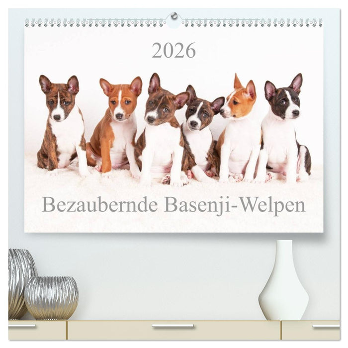 Bezaubernde Basenji-Welpen (CALVENDO Premium Wandkalender 2026)