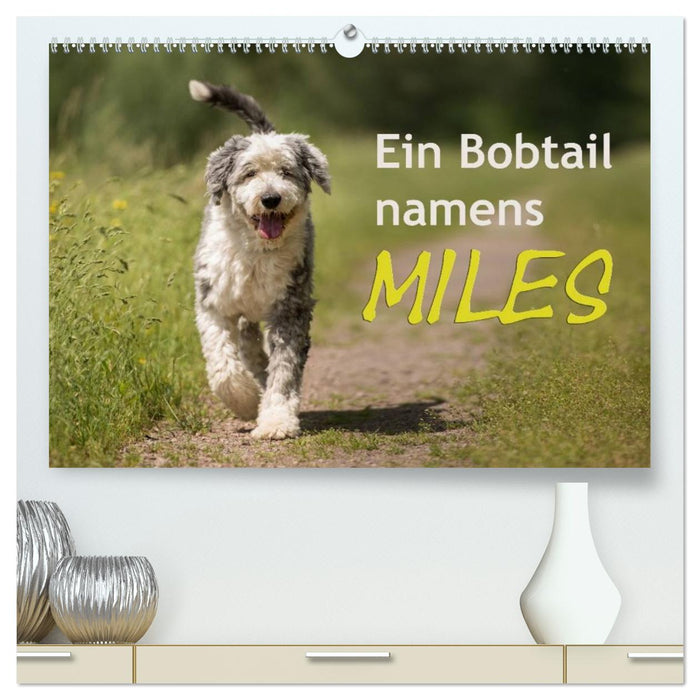 Ein Bobtail namens Miles (CALVENDO Premium Wandkalender 2026)