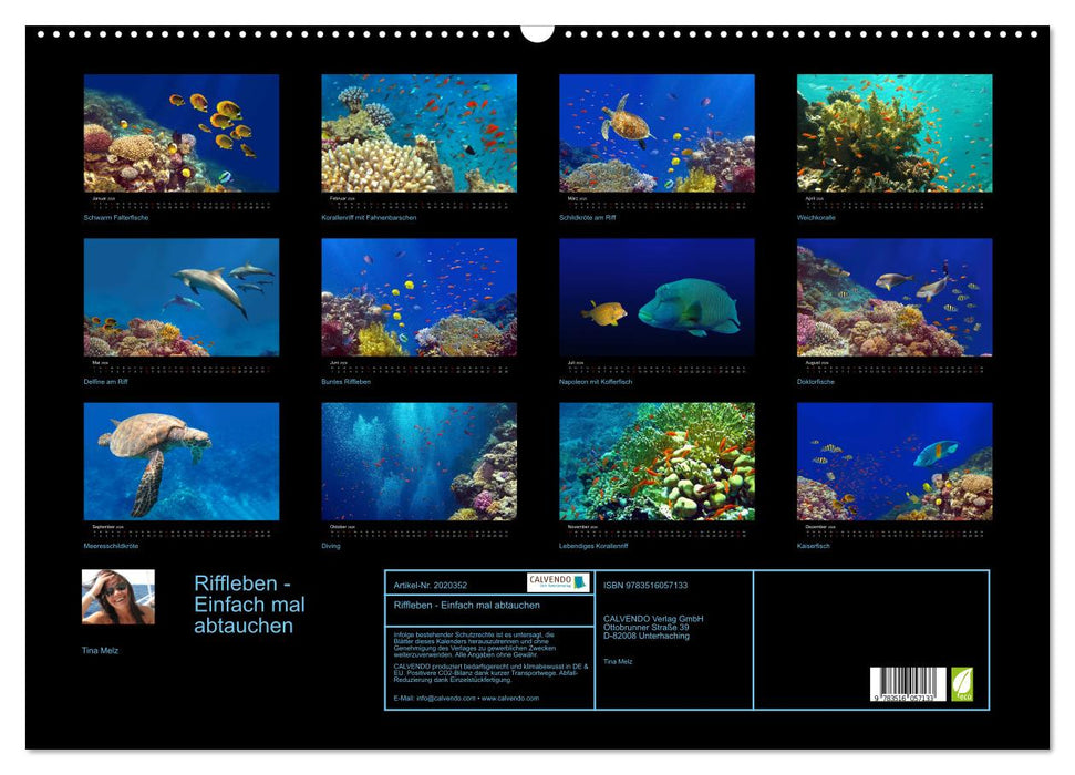 Riffleben - Einfach mal abtauchen (CALVENDO Wandkalender 2026)