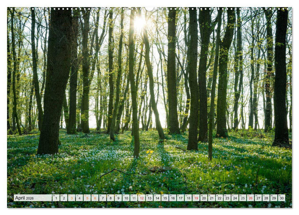 Willkommen im Burgenlandkreis (CALVENDO Premium Wandkalender 2026)