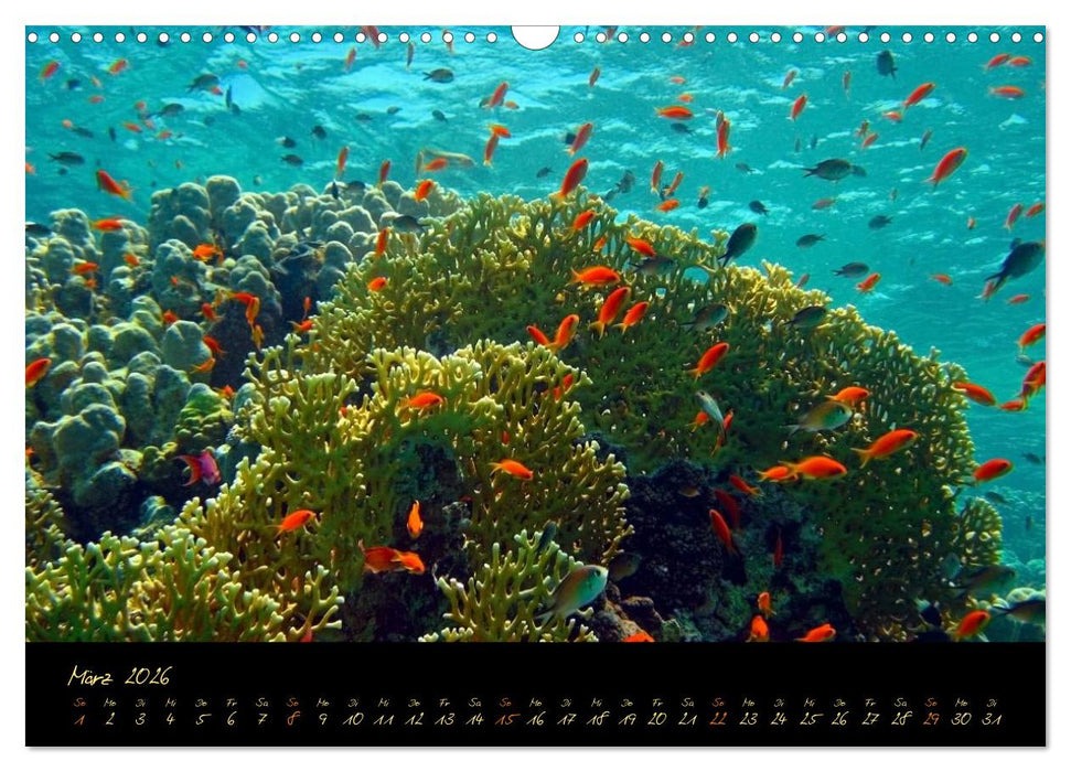 Ägypten - Eine Entdeckungsreise (CALVENDO Wandkalender 2026)