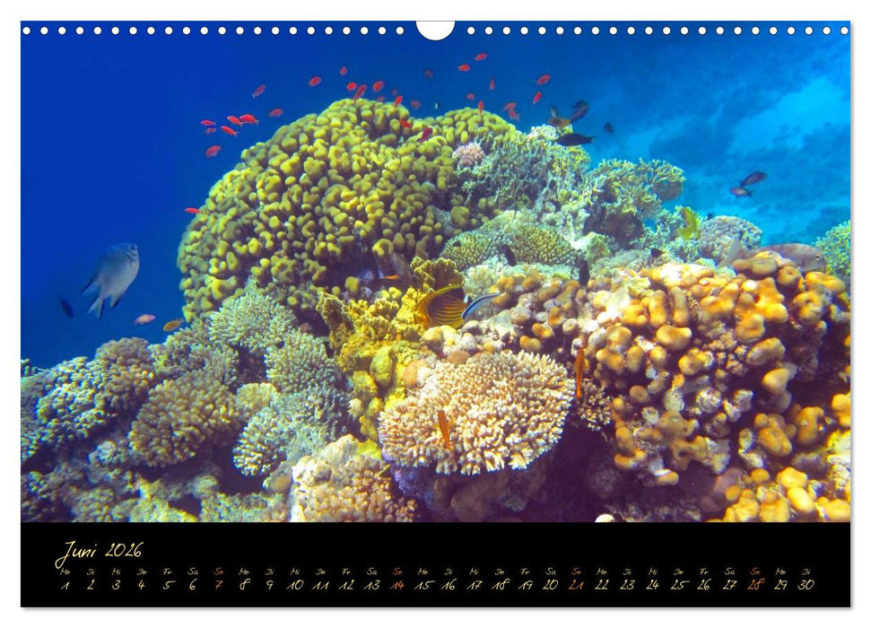 Ägypten - Eine Entdeckungsreise (CALVENDO Wandkalender 2026)