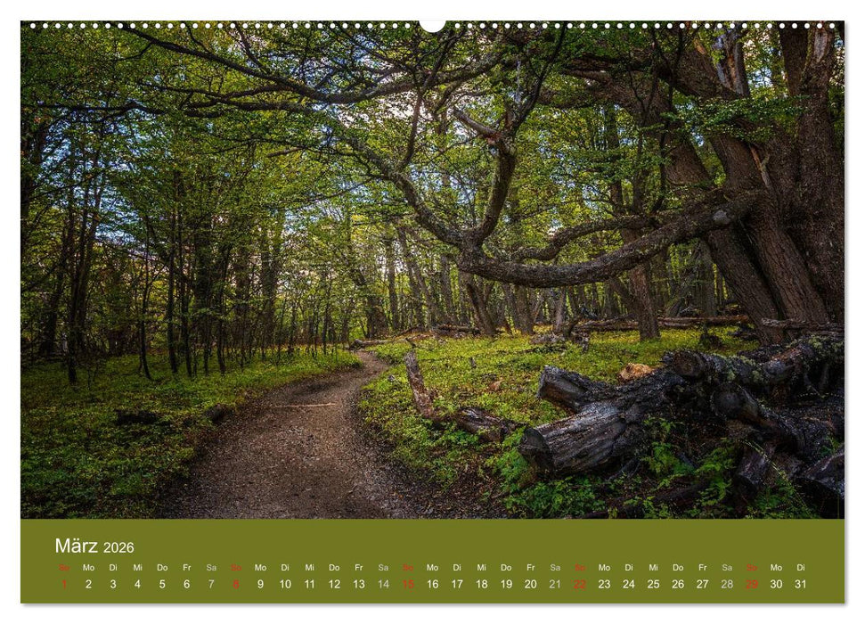 Farbenfrohes Patagonien (CALVENDO Wandkalender 2026)