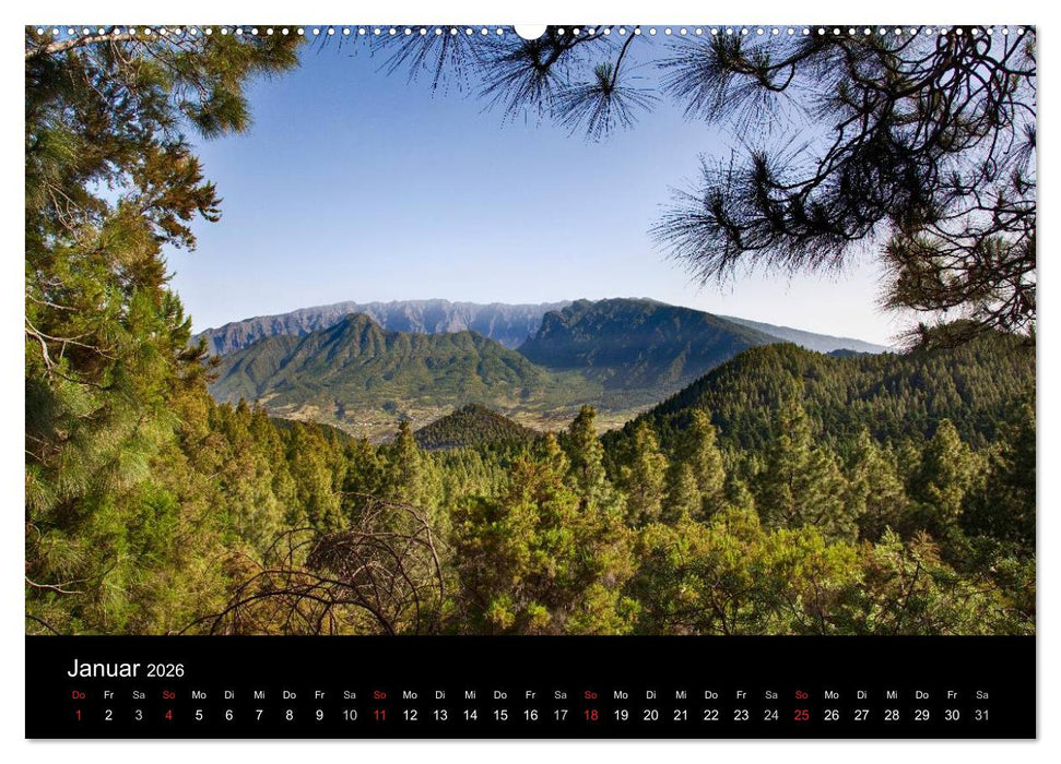 Naturblicke - La Palma (CALVENDO Premium Wandkalender 2026)