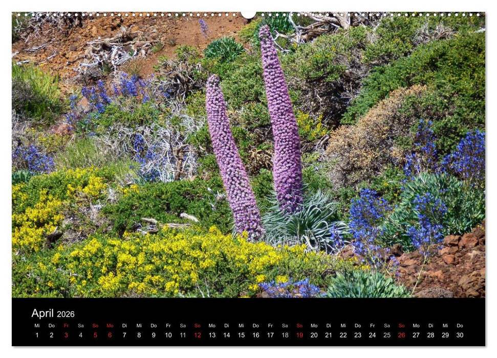 Naturblicke - La Palma (CALVENDO Premium Wandkalender 2026)