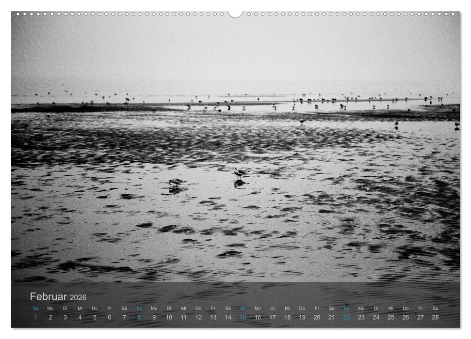 Seestücke. Schwarzweiße Nordseeimpressionen 2026 (CALVENDO Wandkalender 2026)