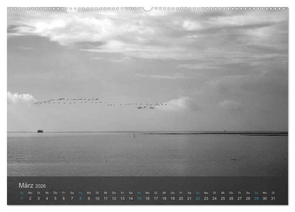 Seestücke. Schwarzweiße Nordseeimpressionen 2026 (CALVENDO Wandkalender 2026)