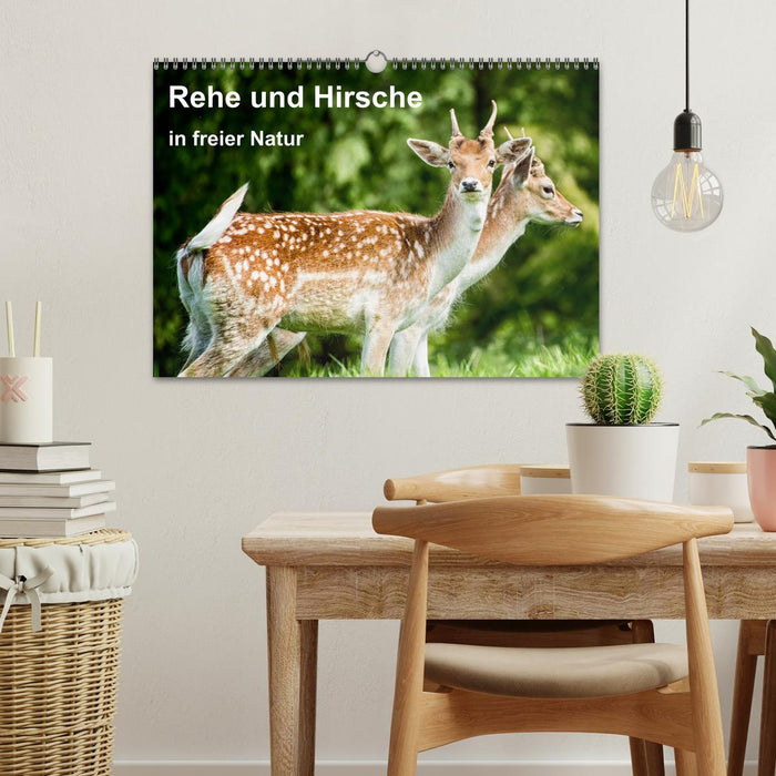Rehe und Hirsche in freier Natur (CALVENDO Wandkalender 2026)