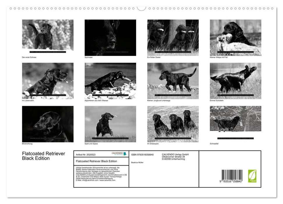 Flatcoated Retriever Black Edition (CALVENDO Premium Wandkalender 2026)