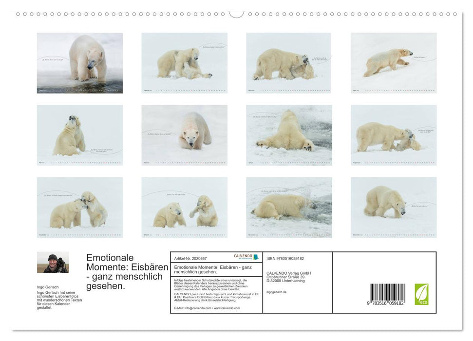 Emotionale Momente: Eisbären - ganz menschlich gesehen. (CALVENDO Premium Wandkalender 2026)
