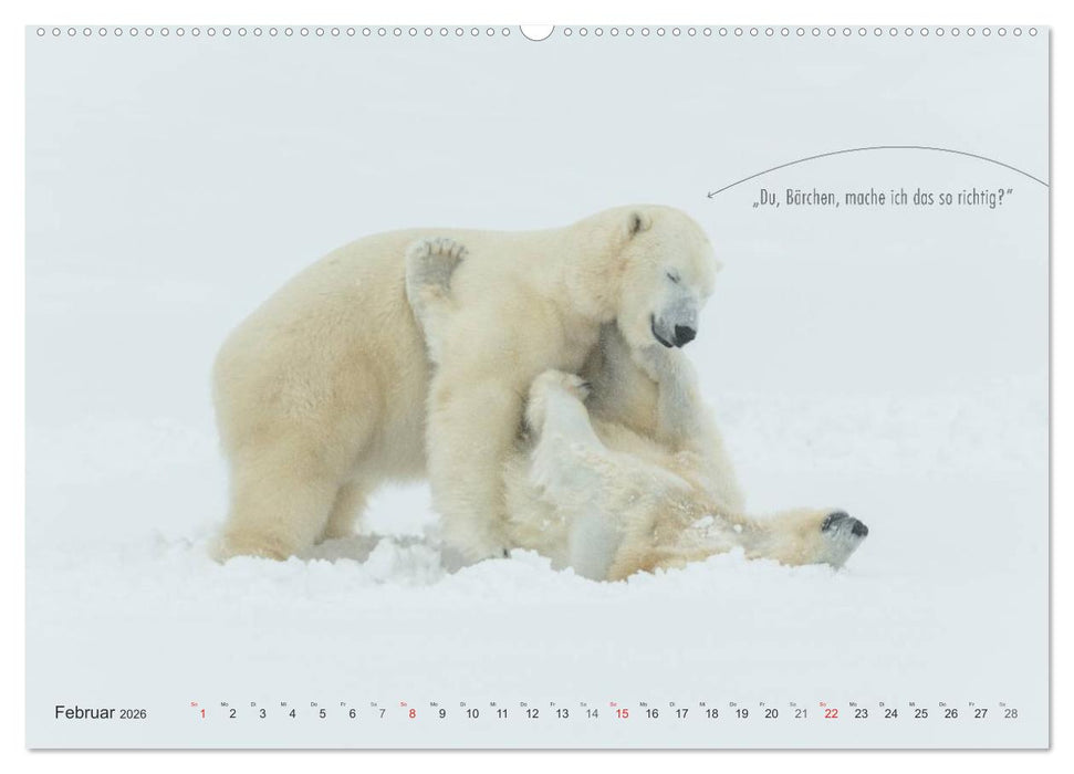 Emotionale Momente: Eisbären - ganz menschlich gesehen. (CALVENDO Premium Wandkalender 2026)