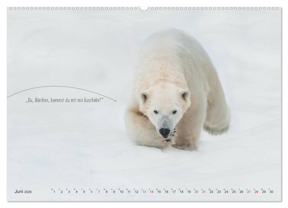 Emotionale Momente: Eisbären - ganz menschlich gesehen. (CALVENDO Premium Wandkalender 2026)