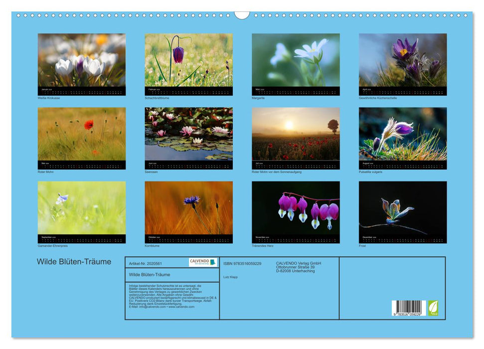 Wilde Blüten-Träume (CALVENDO Wandkalender 2026)