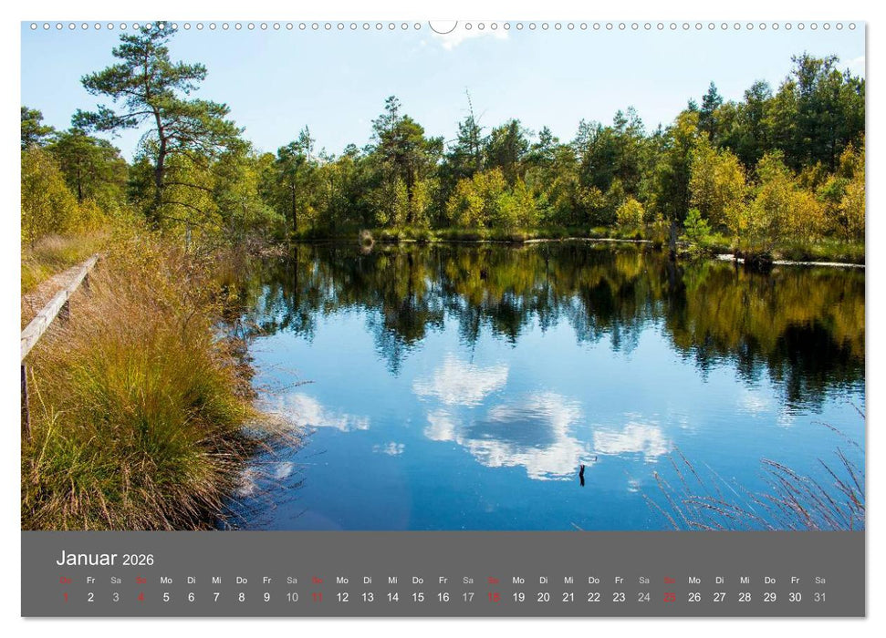 Moor- und Heidelandschaften Niedersachsen (CALVENDO Wandkalender 2026)