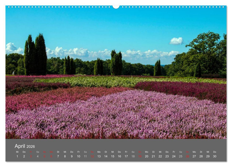 Moor- und Heidelandschaften Niedersachsen (CALVENDO Wandkalender 2026)