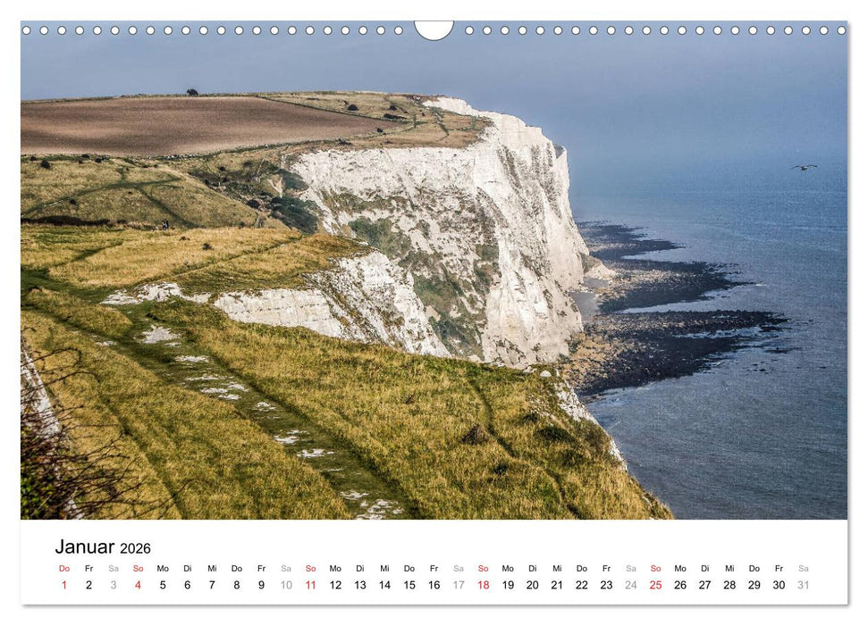 Englands wilder Süden (CALVENDO Wandkalender 2026)