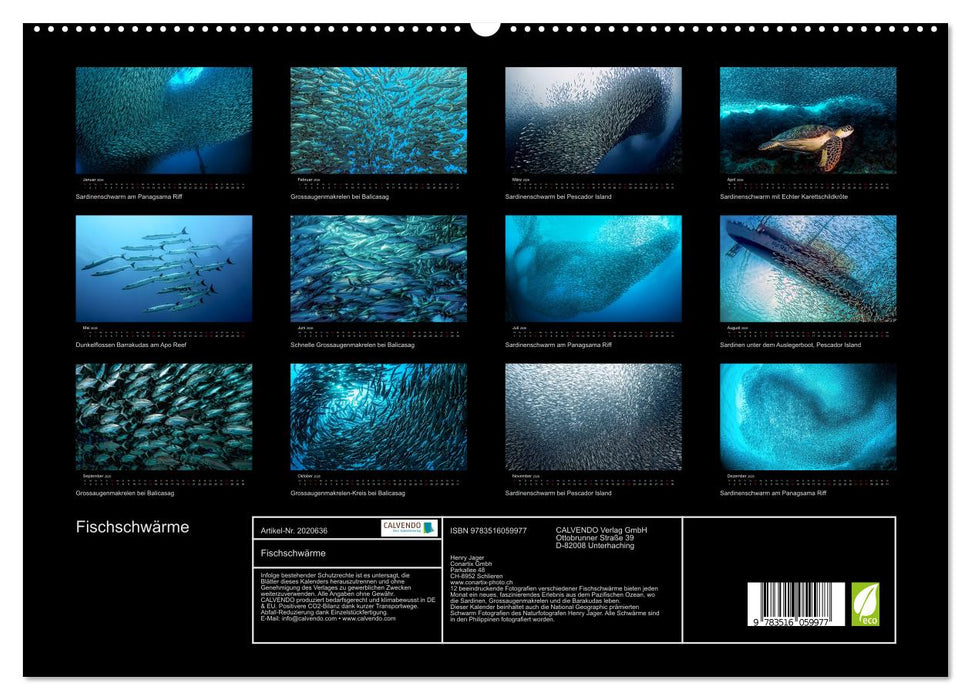 Fischschwärme (CALVENDO Premium Wandkalender 2026)