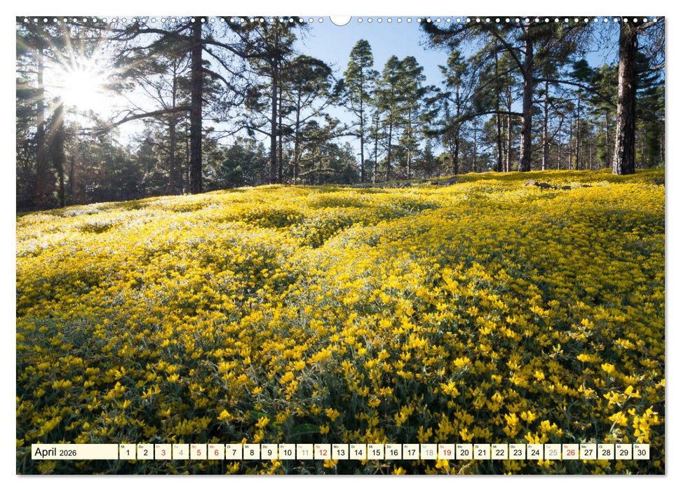 Teneriffa Entspannung Pur (CALVENDO Premium Wandkalender 2026)