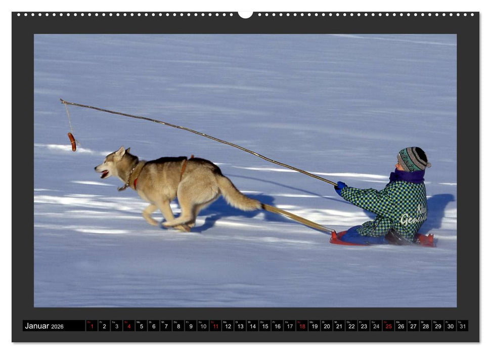 GSCHEIT BLED - Humorfotografie (CALVENDO Premium Wandkalender 2026)