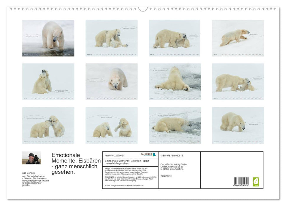 Emotionale Momente: Eisbären - ganz menschlich gesehen. (CALVENDO Wandkalender 2026)