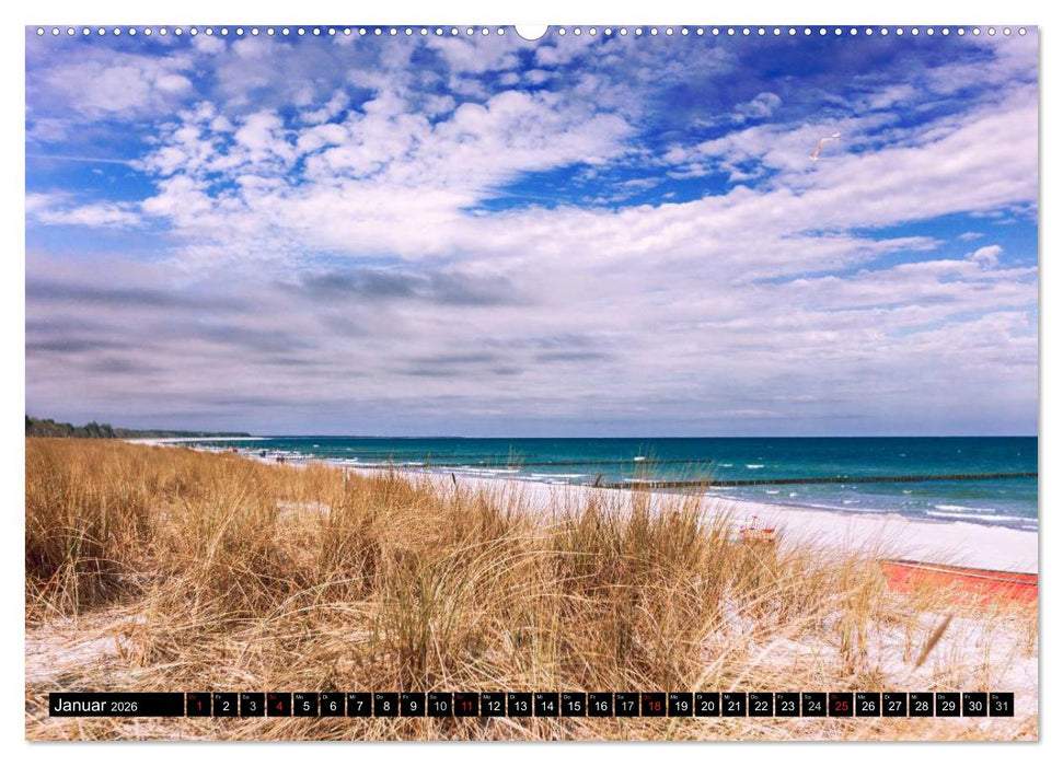 Ostsee - Träume vom Meer (CALVENDO Premium Wandkalender 2026)