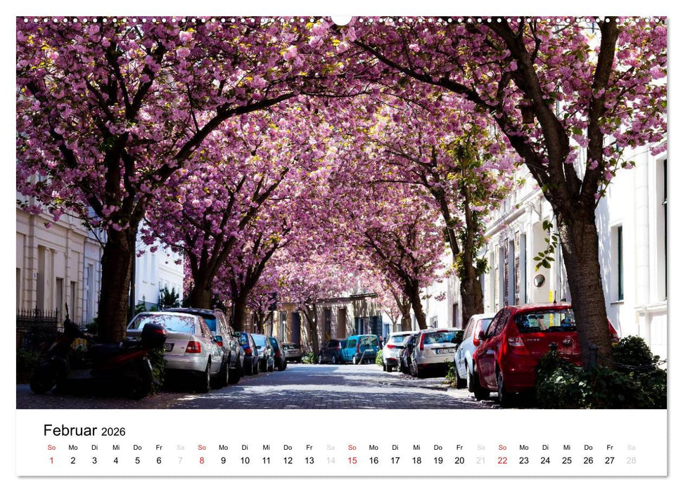 Bonn - Kirschblütenfest in der Altstadt (CALVENDO Wandkalender 2026)