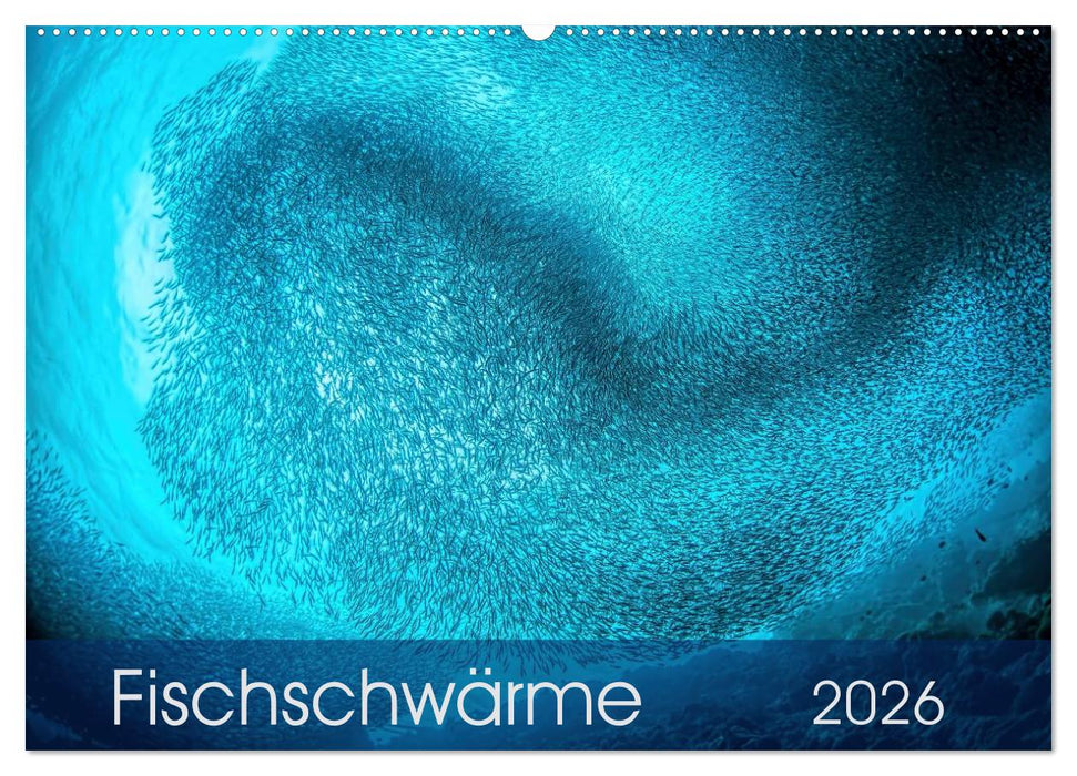 Fischschwärme (CALVENDO Wandkalender 2026)