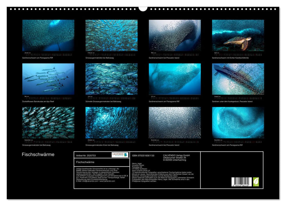 Fischschwärme (CALVENDO Wandkalender 2026)