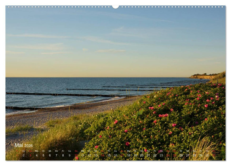 Anblicke und Ausblicke auf Fischland Darß (CALVENDO Premium Wandkalender 2026)