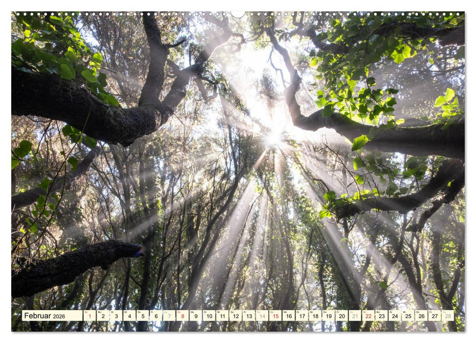 Teneriffa Entspannung Pur (CALVENDO Wandkalender 2026)
