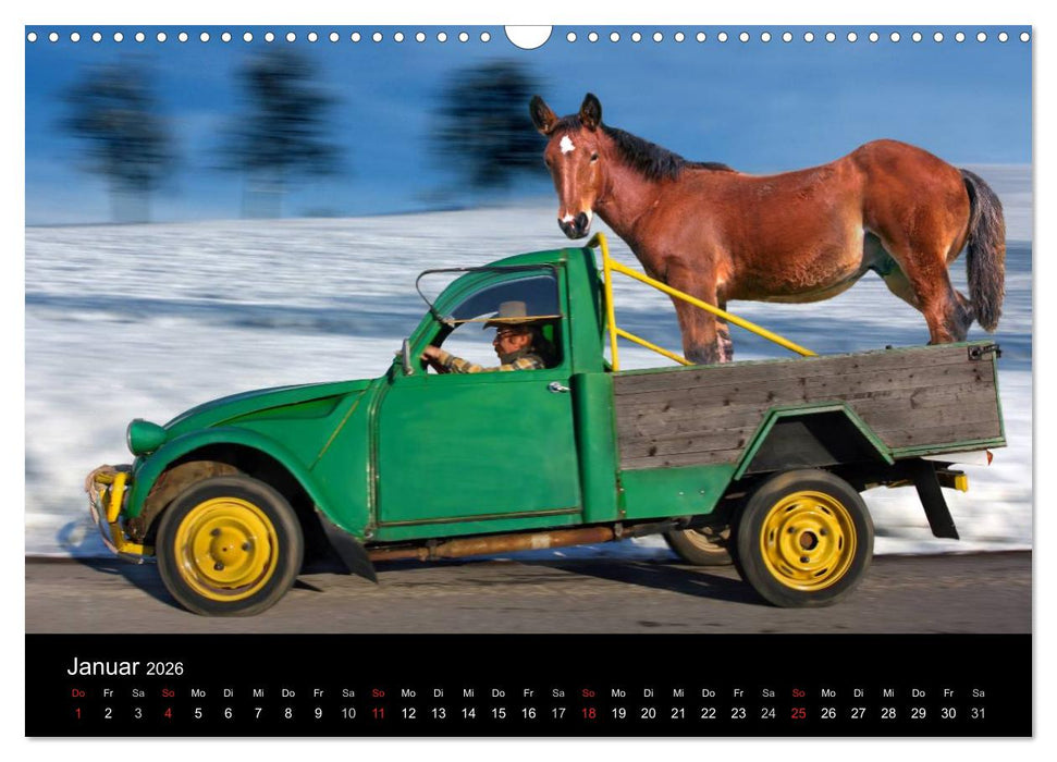 BAUERNSCHLAU 2026 (CALVENDO Wandkalender 2026)