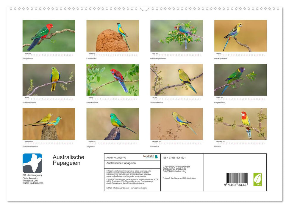 Australische Papageien (CALVENDO Premium Wandkalender 2026)