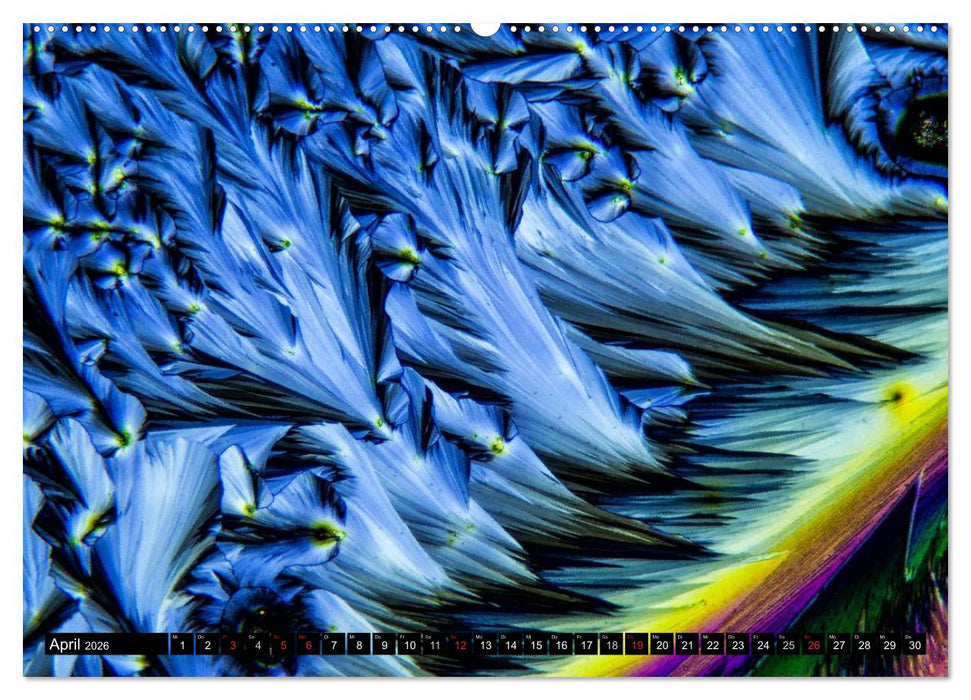 Mikrokristalle in polarisiertem Licht (CALVENDO Premium Wandkalender 2026)