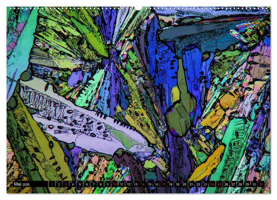 Mikrokristalle in polarisiertem Licht (CALVENDO Premium Wandkalender 2026)