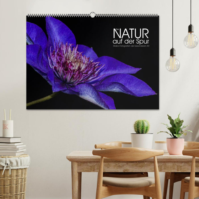 Der Natur auf der Spur - Makro-Fotografien der besonderen Art (CALVENDO Wandkalender 2026)
