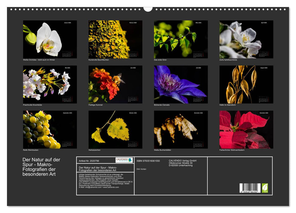 Der Natur auf der Spur - Makro-Fotografien der besonderen Art (CALVENDO Wandkalender 2026)