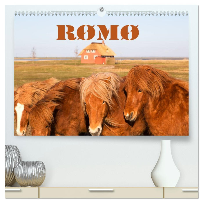 Rømø (CALVENDO Premium Wandkalender 2026)