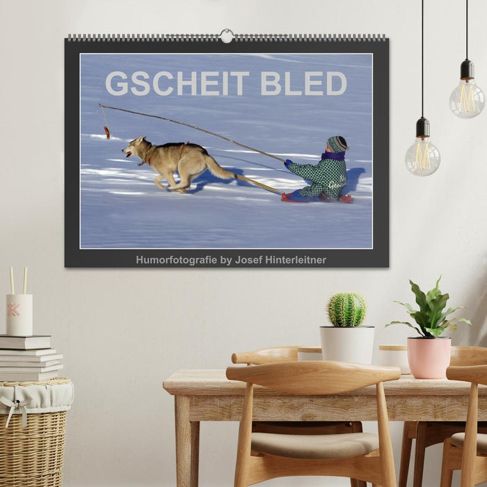 GSCHEIT BLED - Humorfotografie (CALVENDO Wandkalender 2026)