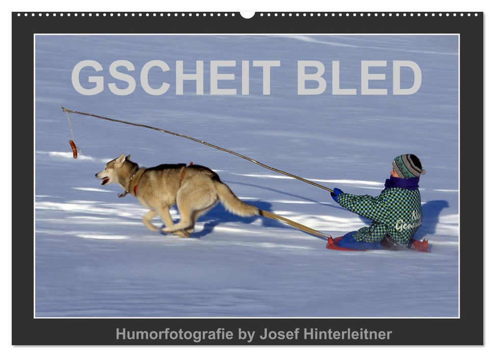 GSCHEIT BLED - Humorfotografie (CALVENDO Wandkalender 2026)