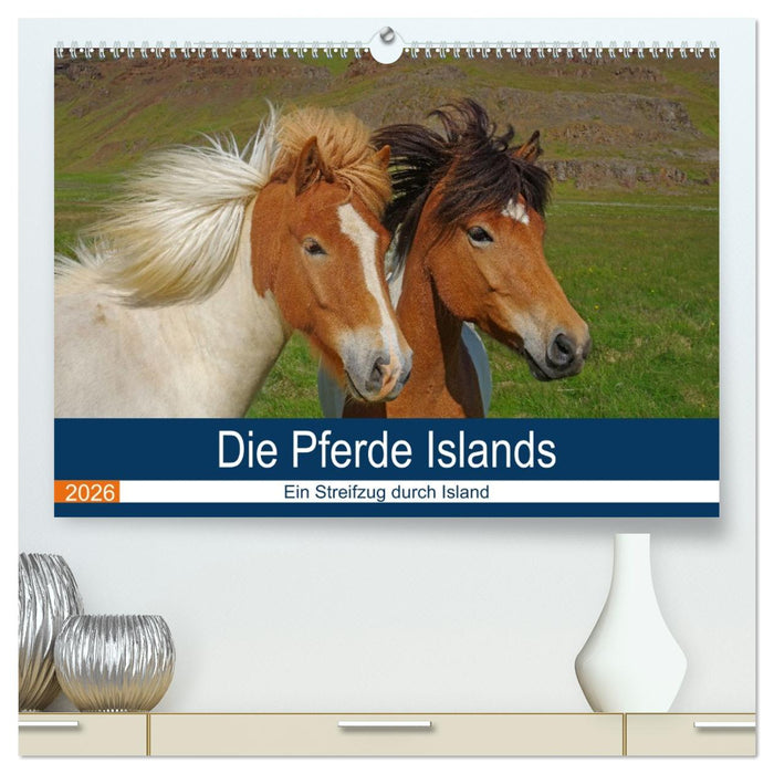 Die Pferde Islands - Ein Streifzug durch Island (CALVENDO Premium Wandkalender 2026)
