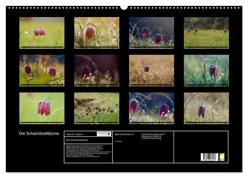 Die Schachbrettblume (CALVENDO Wandkalender 2026)