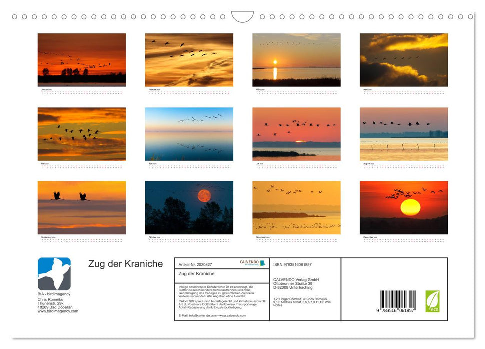 Zug der Kraniche (CALVENDO Wandkalender 2026)