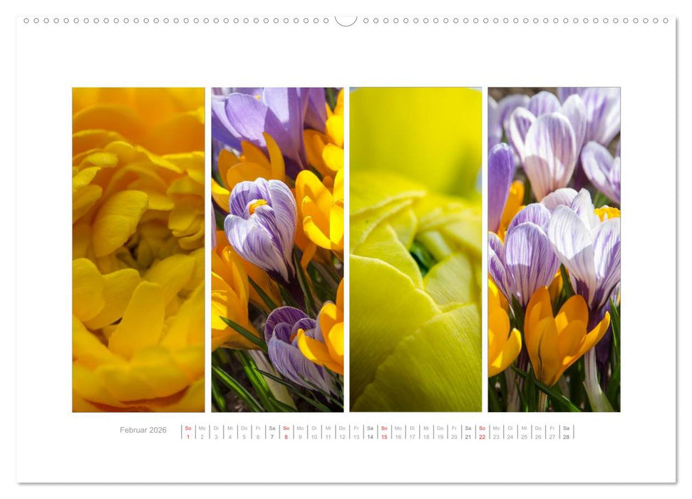 Gartenfreude (CALVENDO Premium Wandkalender 2026)