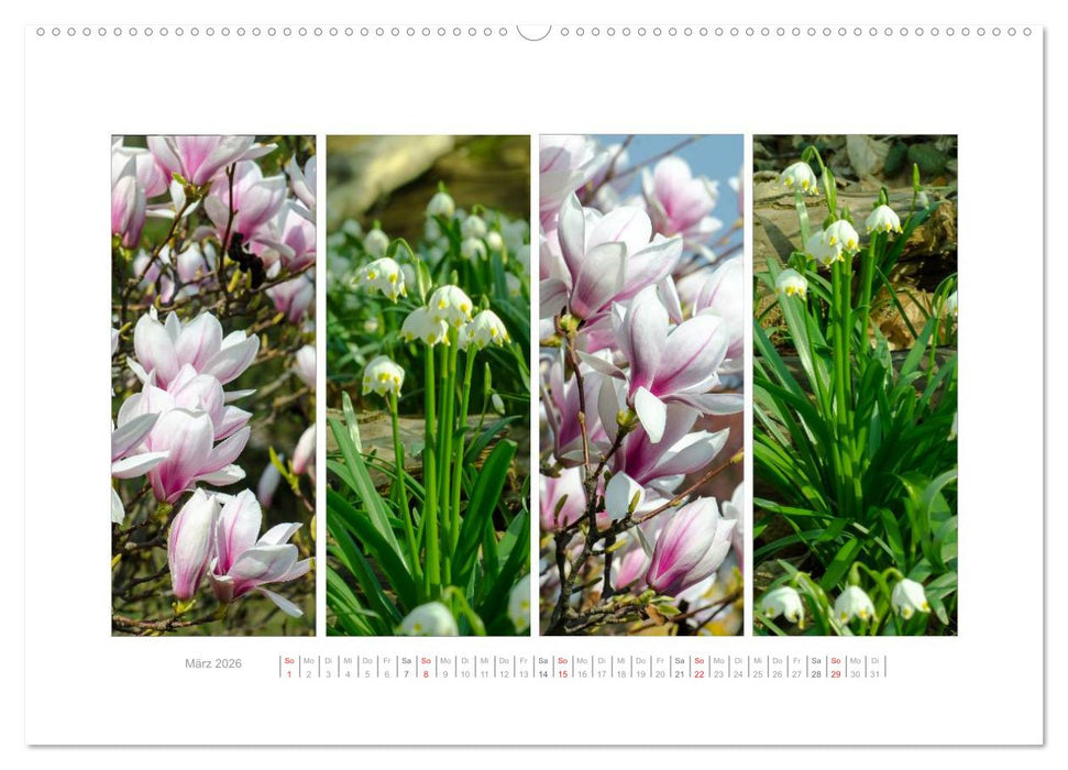 Gartenfreude (CALVENDO Premium Wandkalender 2026)