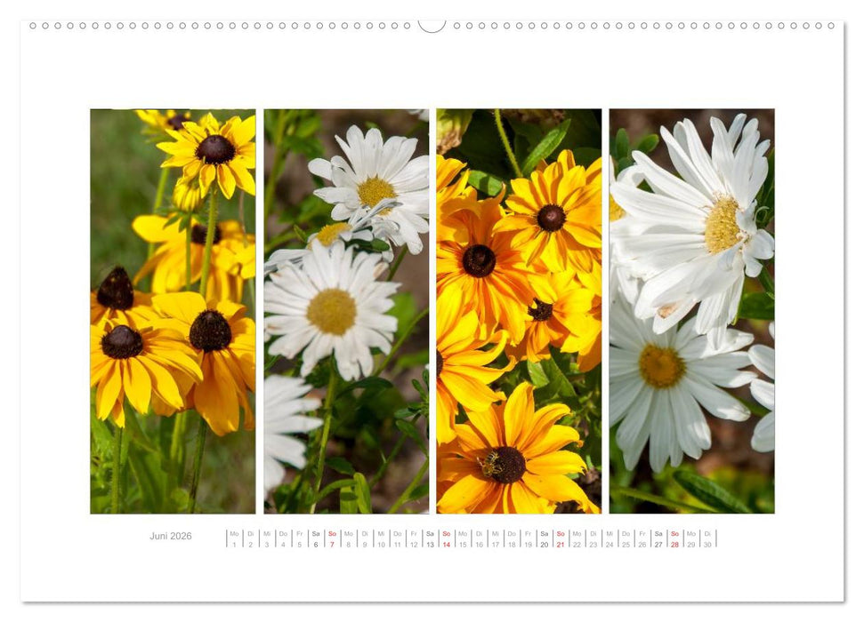 Gartenfreude (CALVENDO Premium Wandkalender 2026)